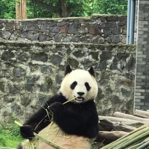 Meet your Posher, Jane